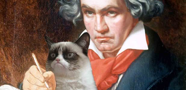 Beethoven with grumpy cat
